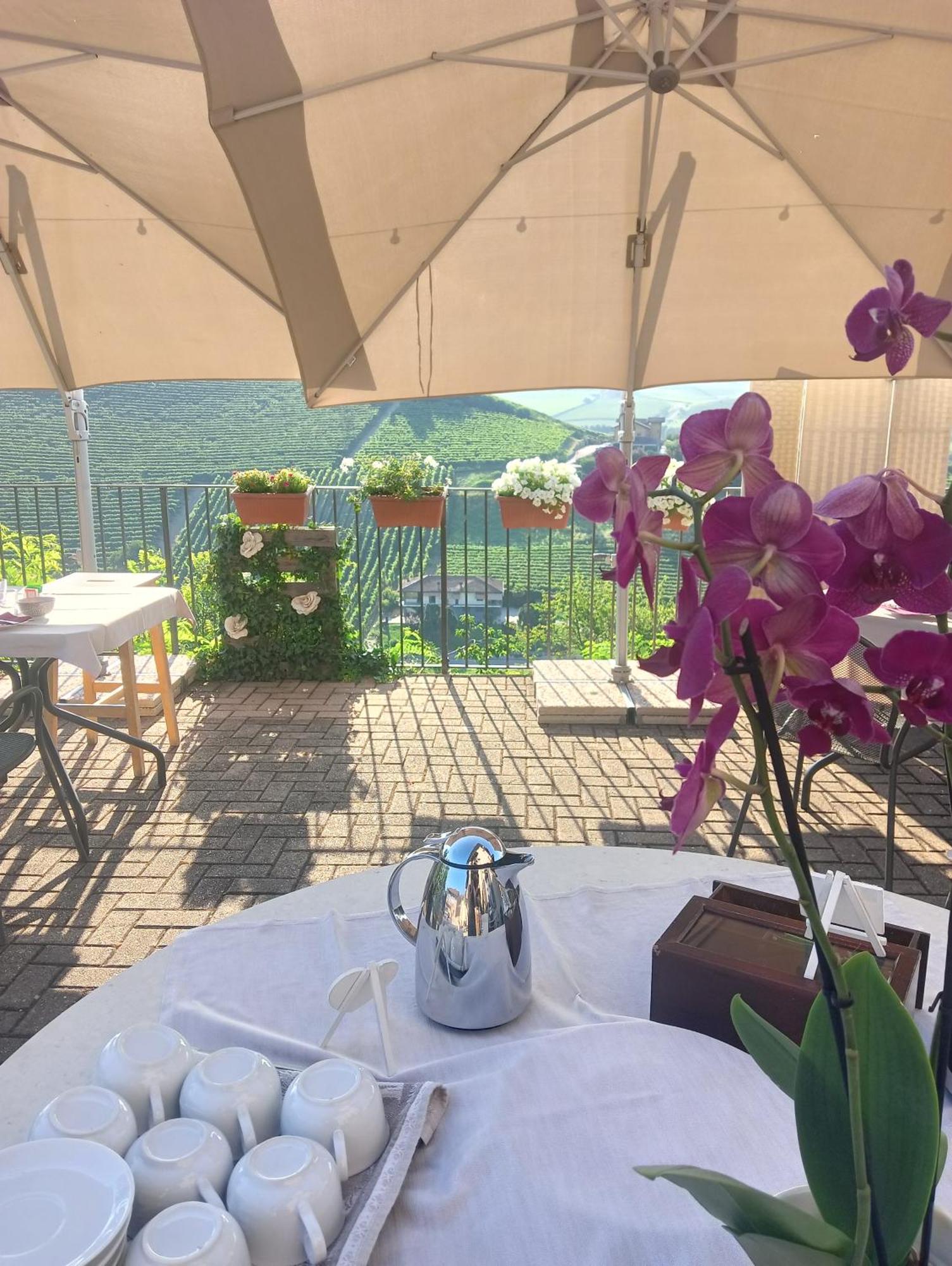 Il Borgo B&B 카스텔리날도 외부 사진